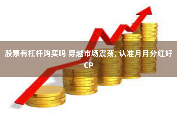 股票有杠杆购买吗 穿越市场震荡, 认准月月分红好CP
